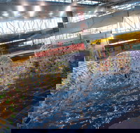 Oasis Regional Aquatic Centre - Geraldton Accommodation