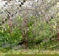 Scutts Hut Trail - Geraldton Accommodation