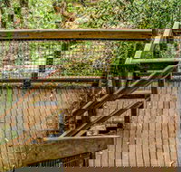 Somersby Falls walking track - Geraldton Accommodation