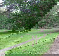 St Albans Reserve - Geraldton Accommodation