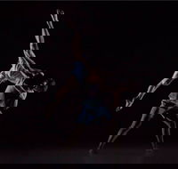 Sydney Dance Company - Geraldton Accommodation