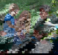 Tamworth Marsupial Park and Adventure Playground - Geraldton Accommodation