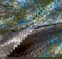 Wallumatta Nature Reserve - Geraldton Accommodation