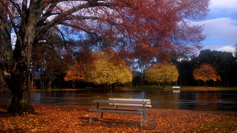 Bells Parade Reserve - Geraldton Accommodation 0