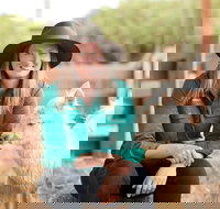 Creswick Woollen Mills - Geraldton Accommodation