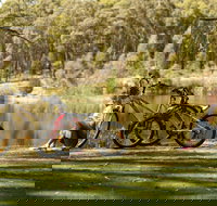 Creswick Regional Park - Geraldton Accommodation