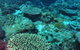 Hanging Rock Dive Site - thumb 0