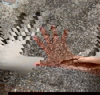 Hands of Fame Park - Geraldton Accommodation