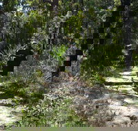 Karloo Walking Track - Geraldton Accommodation