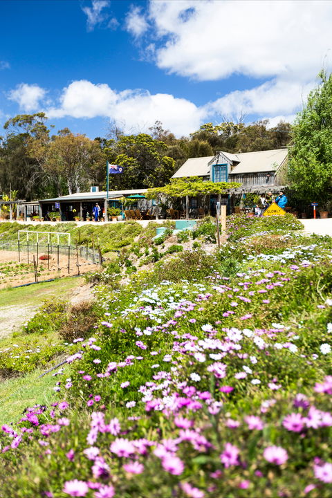 Kate's Berry Farm - Geraldton Accommodation 0