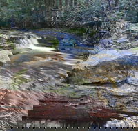Liffey Falls Reserve - Geraldton Accommodation