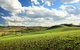 Lions Park, Hodgson Vale - thumb 0