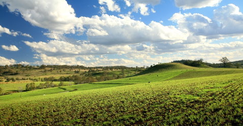 Lions Park, Hodgson Vale - Geraldton Accommodation 0