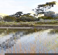 Onkaparinga River Recreation Park - Geraldton Accommodation
