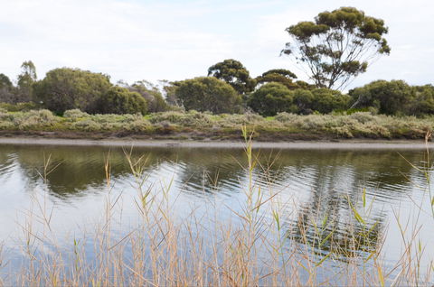 Onkaparinga River Recreation Park - Geraldton Accommodation 0