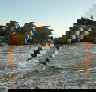 Venus Bay - Geraldton Accommodation