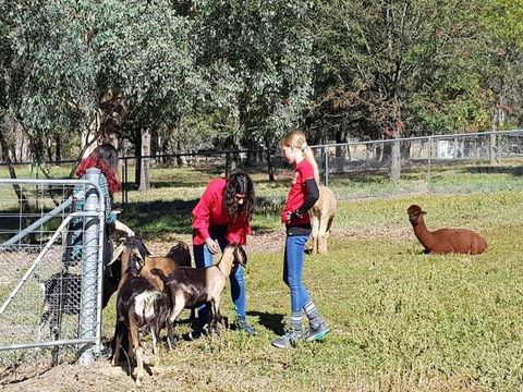 Animal Farm Visit - Geraldton Accommodation 1