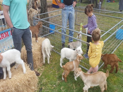 Animal Farm Visit - Geraldton Accommodation 2