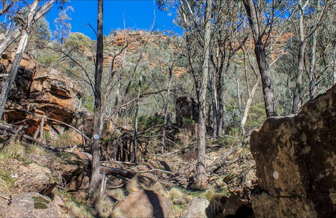 Eualdrie Walking Track - Geraldton Accommodation 0