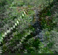 Mapleton Falls National Park - Geraldton Accommodation