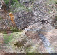 Mill-bullah Walking Track - Geraldton Accommodation