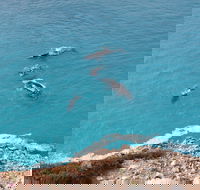 Nullarbor National Park - Geraldton Accommodation