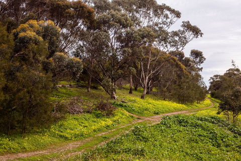 O'Halloran Hill Recreation Park - Geraldton Accommodation 1