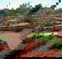 Orange Mini Golf - Geraldton Accommodation