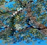 Ridge Walking Track - Geraldton Accommodation