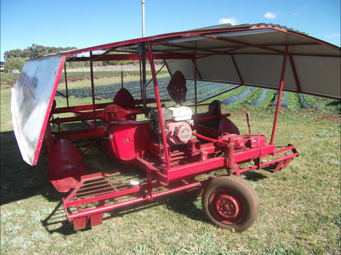 The Super Strawberry - Geraldton Accommodation 2