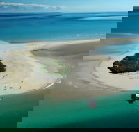 Turtle Discovery - Geraldton Accommodation