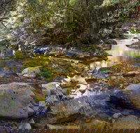 Washpool Walking Track - Geraldton Accommodation