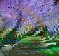 Alowyn Gardens and Nursery - Geraldton Accommodation