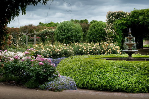 Alowyn Gardens And Nursery - Geraldton Accommodation 1