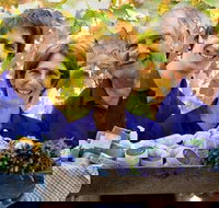 Bella Lavender Estate - Geraldton Accommodation