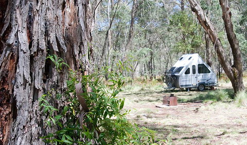 Coolah Tops National Park - Geraldton Accommodation 2