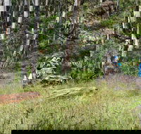 Federal Falls Walk - Geraldton Accommodation