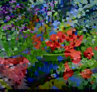 Ferry Artists Gallery - Geraldton Accommodation