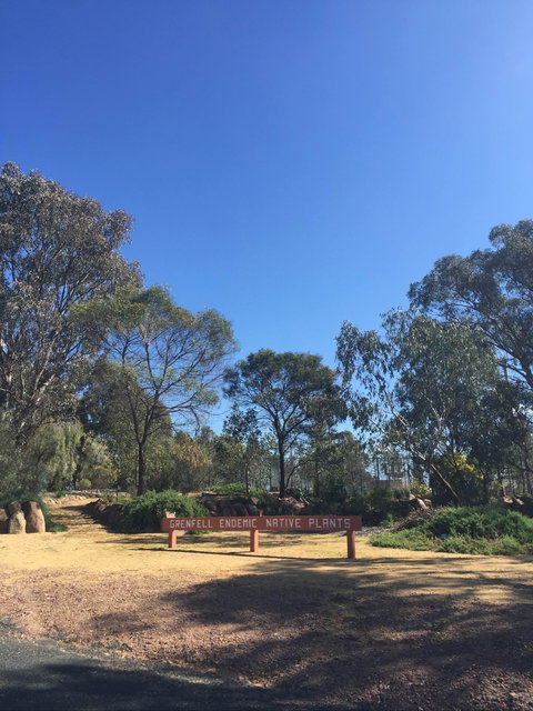 Grenfell Endemic Garden - Geraldton Accommodation 0