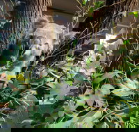 Macadamia Castle - Geraldton Accommodation