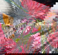 Mokoan Rest Stop Northbound - Geraldton Accommodation