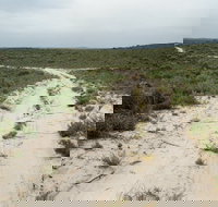 Ngarkat Conservation Park - Geraldton Accommodation