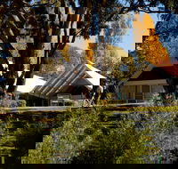 Orange Botanic Gardens - Geraldton Accommodation