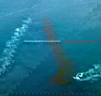 Port Noarlunga Reef Sanctuary Zone - Encounter Marine Park - Geraldton Accommodation