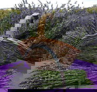 Rustique Lavender Farm - Geraldton Accommodation