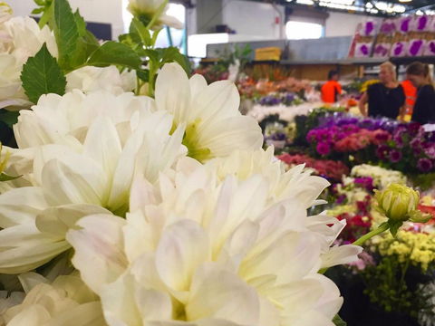 Sydney Flower Market - Geraldton Accommodation 1
