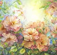 Barossa Chateau Artist in Residence - Geraldton Accommodation