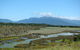 Eubenangee Swamp National Park - thumb 0