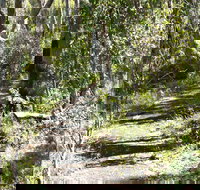 Euglah Rock Walking Track - Geraldton Accommodation