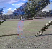 Inverell Golf Club - Geraldton Accommodation